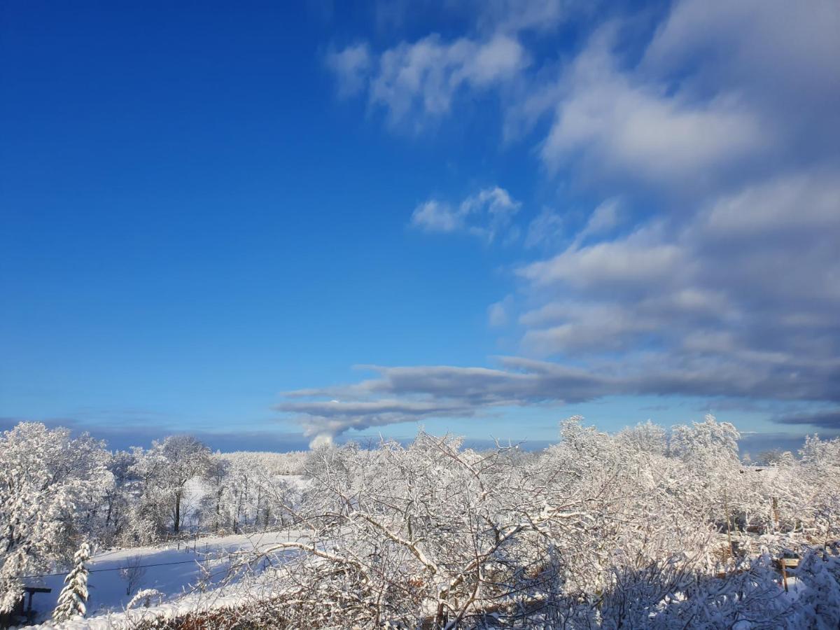 Energetischer Urlaub In Der Eifel Germeter ภายนอก รูปภาพ