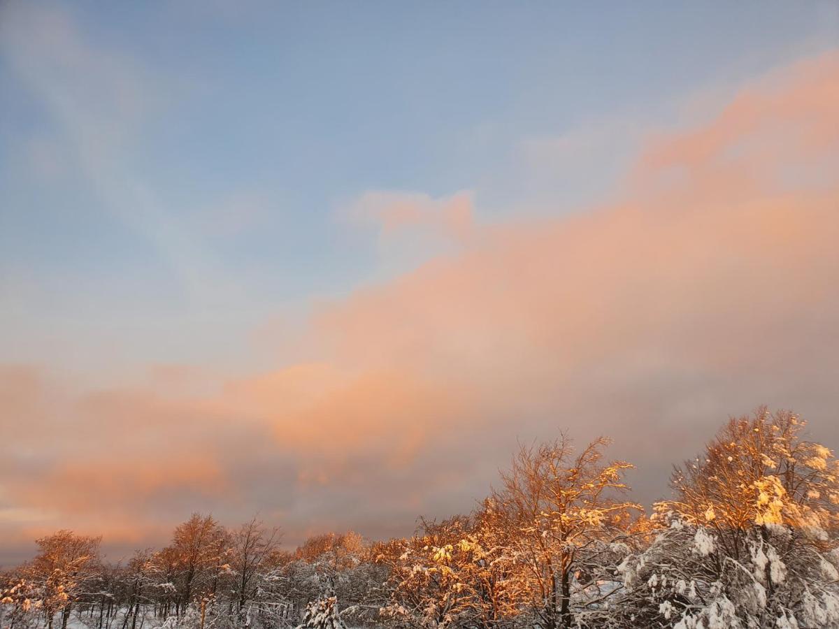 Energetischer Urlaub In Der Eifel Germeter ภายนอก รูปภาพ
